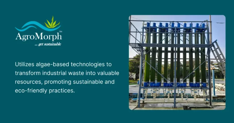 Agromorph Pioneers Algae Based technology for Wastewater Management and Greenhouse Gas Reduction