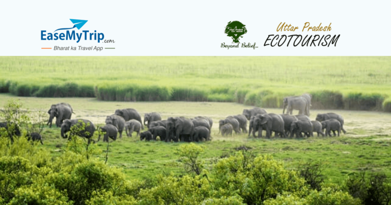 EaseMyTrip Signs MoU with Uttar Pradesh EcoTourism Development Board to Boost State Tourism