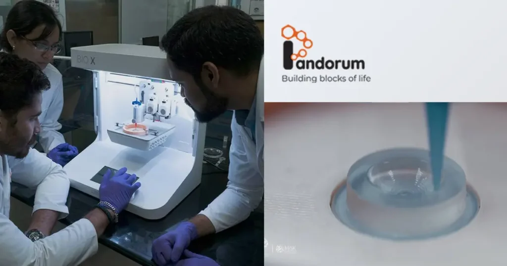 Pandorum Technologies Innovates with Bioengineered Corneas, Mini Livers, and Lung Therapies