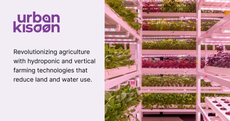 UrbanKisaan Pioneers the Future of Agriculture with Innovative Hydroponic and Vertical Farming Solutions