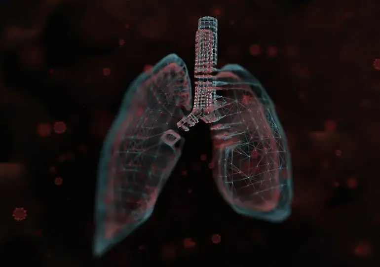 lung regeneration