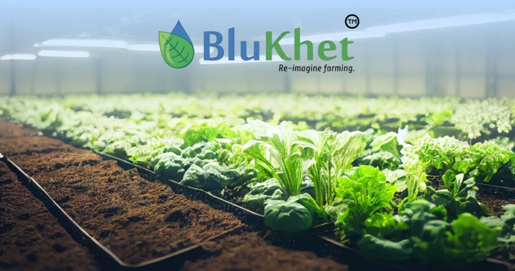 Blukhet's Soil-less Farming Solutions Turn Unusable Land into Profitable Farms