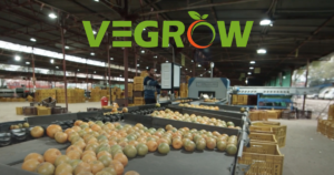 Vegrow: Revolutionizing the Indian Fruit Ecosystem with Technology